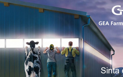 Onde estamos localizados?